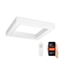 Immax NEO 07072L - LED Stmívatelné stropní svítidlo CANTO LED/60W/230V 80x80 cm Tuya