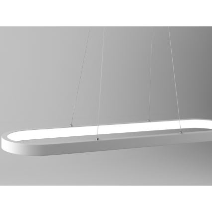 Immax NEO - LED Stmívatelný lustr na lanku HIPODROMO LED/42W/100-240V