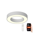 Immax NEO 07095L - LED Stmívatelné stropní svítidlo PASTEL LED/52W/230V 60 cm Tuya + dálkové ovládání 
