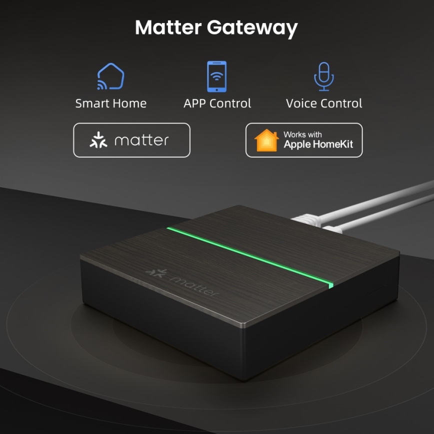 Immax NEO 07117-5 - MATTER BRIDGE Smart Zigbee 3.0 230V Wi-Fi