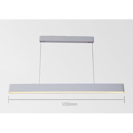 Immax NEO 07157-W120X - LED RGB+CCT Stmívatelný lustr na lanku MILANO LED/40W/230V Tuya bílá