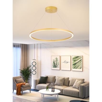 Immax NEO 07159-G80 - LED Stmívatelný lustr na lanku FINO LED/60W/230V Tuya zlatá + dálkové ovládání