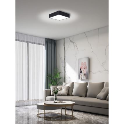 Immax NEO 07237L - LED Stmívatelné stropní svítidlo CANTO LED/22W/230V černá Tuya + dálkové ovládání