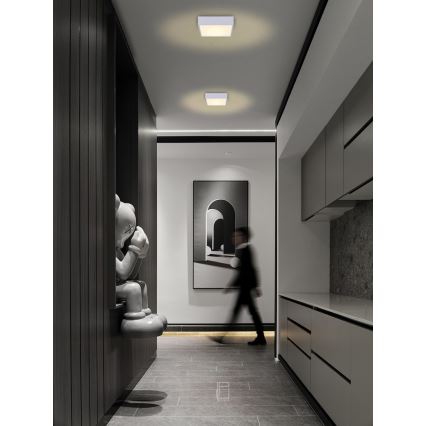 Immax NEO 07238L - LED Stmívatelné stropní svítidlo CANTO LED/22W/230V bílá Tuya + dálkové ovládání