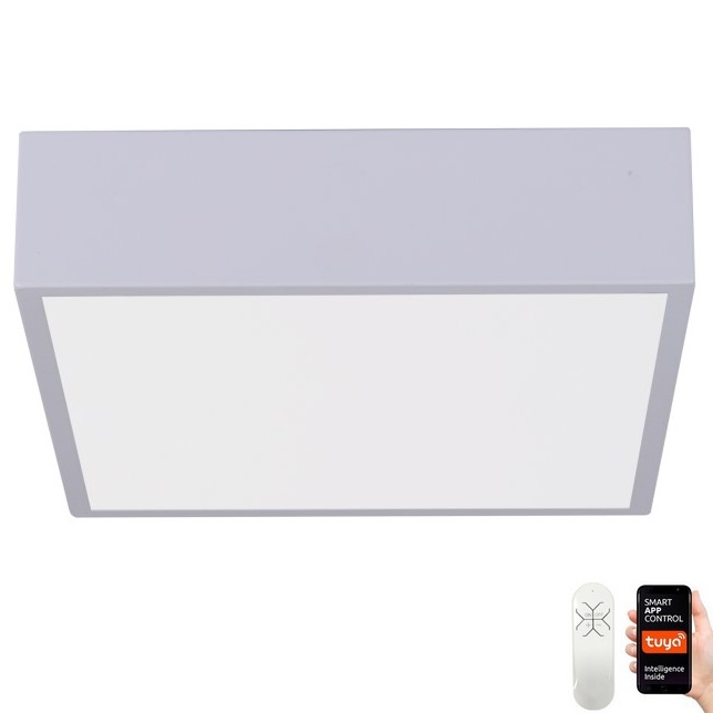 Immax NEO 07238L - LED Stmívatelné stropní svítidlo CANTO LED/22W/230V bílá Tuya + dálkové ovládání