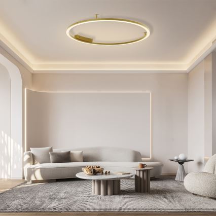 Immax NEO 07290-120G - LED+CCT Stmívatelné stropní svítidlo FINO LED/55W/230V 2700-6500K Tuya pr. 120 cm + dálkové ovládání