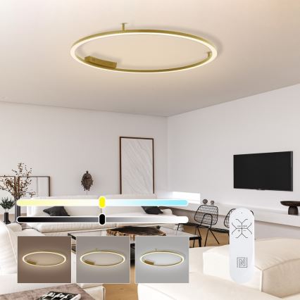 Immax NEO 07290-120G - LED+CCT Stmívatelné stropní svítidlo FINO LED/55W/230V 2700-6500K Tuya pr. 120 cm + dálkové ovládání