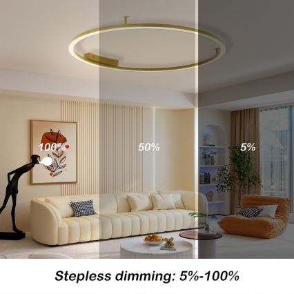 Immax NEO 07290-120G - LED+CCT Stmívatelné stropní svítidlo FINO LED/55W/230V 2700-6500K Tuya pr. 120 cm + dálkové ovládání