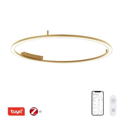 Immax NEO 07290-120G - LED+CCT Stmívatelné stropní svítidlo FINO LED/55W/230V 2700-6500K Tuya pr. 120 cm + dálkové ovládání