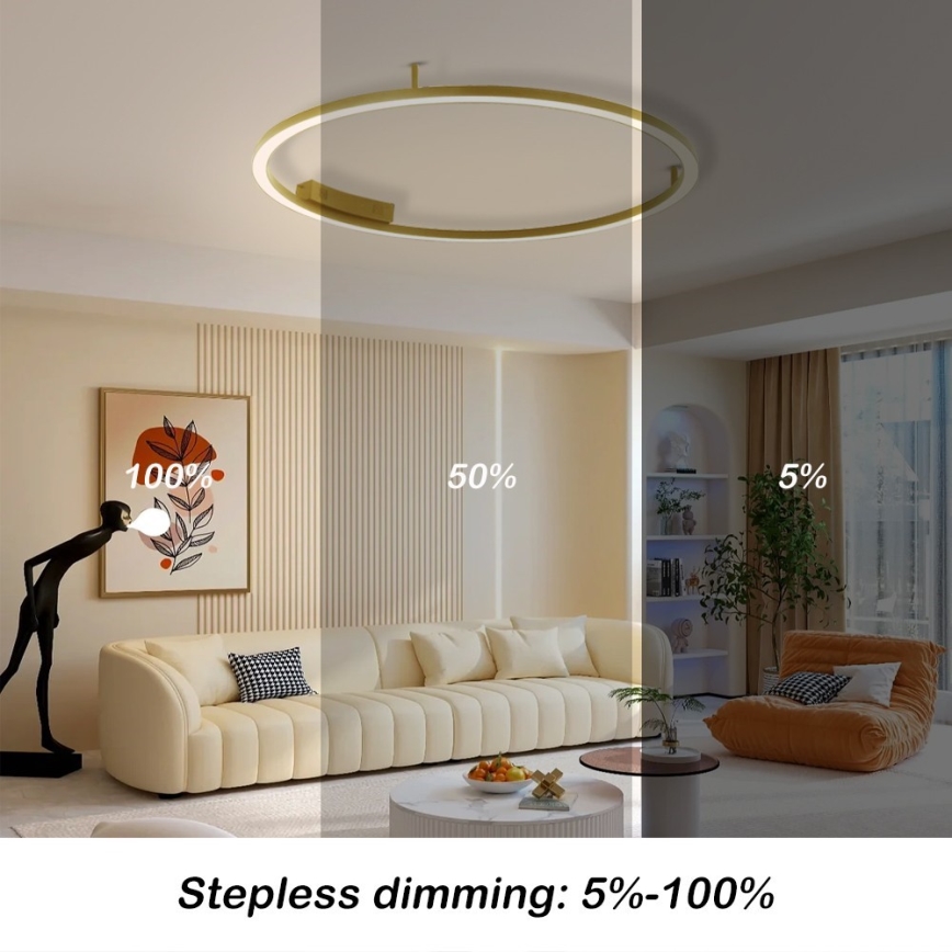 Immax NEO 07291-80G - LED+CCT Stmívatelné stropní svítidlo FINO LED/55W/230V 2700-6500K Tuya pr. 80 cm + dálkové ovládání