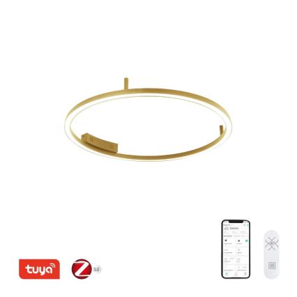 Immax NEO 07291-80G - LED+CCT Stmívatelné stropní svítidlo FINO LED/55W/230V 2700-6500K Tuya pr. 80 cm + dálkové ovládání