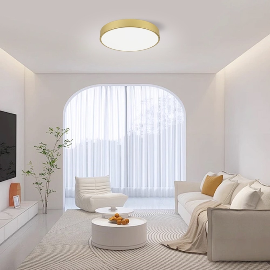 Immax NEO 07292L - LED+CCT Stmívatelné stropní svítidlo SEMPLICI LED/36W/230V 2700-6500K pr. 40 cm + dálkové ovládání