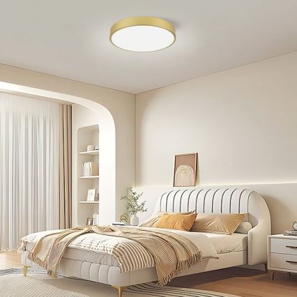 Immax NEO 07292L - LED+CCT Stmívatelné stropní svítidlo SEMPLICI LED/36W/230V 2700-6500K pr. 40 cm + dálkové ovládání