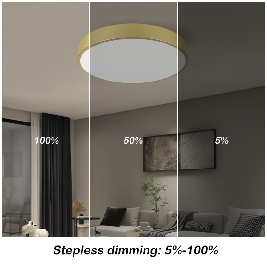 Immax NEO 07292L - LED+CCT Stmívatelné stropní svítidlo SEMPLICI LED/36W/230V 2700-6500K pr. 40 cm + dálkové ovládání