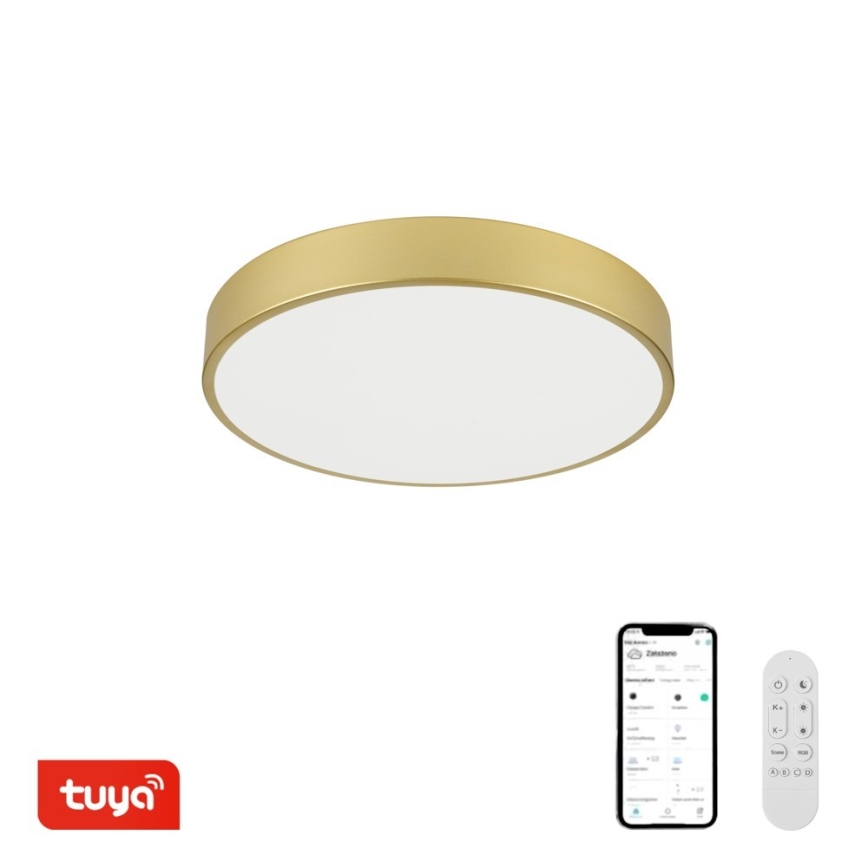 Immax NEO 07292L - LED+CCT Stmívatelné stropní svítidlo SEMPLICI LED/36W/230V 2700-6500K pr. 40 cm + dálkové ovládání