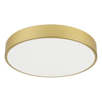 Immax NEO 07292L - LED+CCT Stmívatelné stropní svítidlo SEMPLICI LED/36W/230V 2700-6500K pr. 40 cm + dálkové ovládání