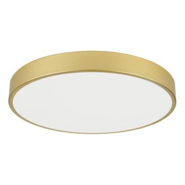 Immax NEO 07293L - LED+CCT Stmívatelné stropní svítidlo SEMPLICI LED/60W/230V 2700-6500K pr. 60 cm + dálkové ovládání
