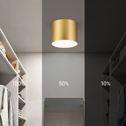 Immax NEO 07317L - LED Stmívatelné stropní svítidlo RONDATE LED/18W/230V pr. 11,5cm Wi-Fi Tuya zlatá
