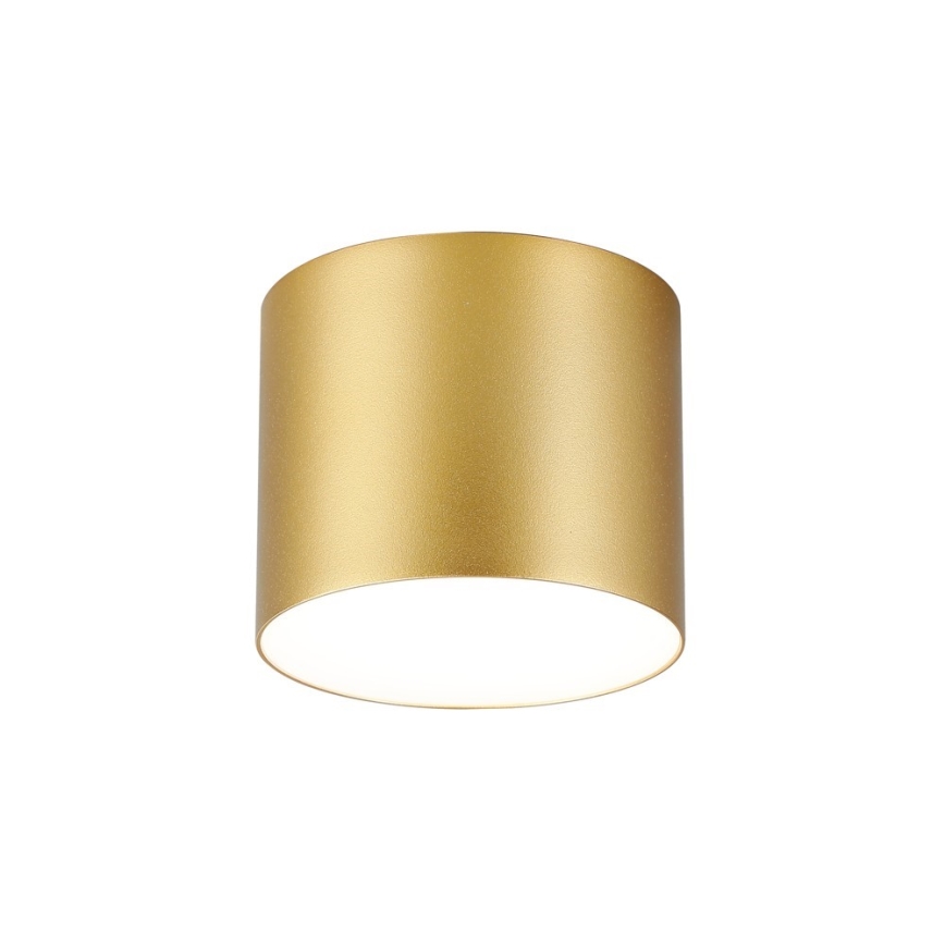 Immax NEO 07317L - LED Stmívatelné stropní svítidlo RONDATE LED/18W/230V pr. 11,5cm Wi-Fi Tuya zlatá