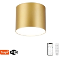 Immax NEO 07317L - LED Stmívatelné stropní svítidlo RONDATE LED/18W/230V pr. 11,5cm Wi-Fi Tuya zlatá