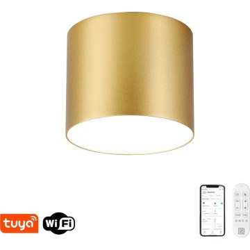 Immax NEO 07317L - LED Stmívatelné stropní svítidlo RONDATE LED/18W/230V pr. 11,5cm Wi-Fi Tuya zlatá