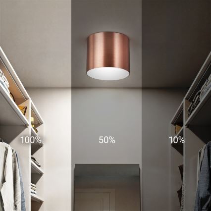 Immax NEO 07319L - LED Stmívatelné stropní svítidlo RONDATE LED/18W/230V pr. 11,5 cm Wi-Fi Tuya rose gold