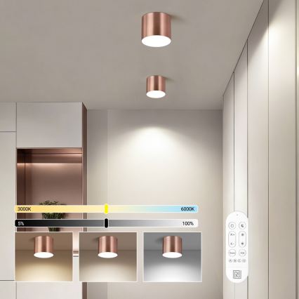 Immax NEO 07319L - LED Stmívatelné stropní svítidlo RONDATE LED/18W/230V pr. 11,5 cm Wi-Fi Tuya rose gold