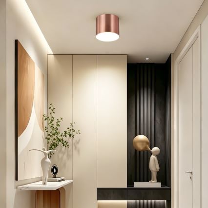 Immax NEO 07320L - LED Stmívatelné stropní svítidlo RONDATE LED/32W/230V pr. 16,5 cm Wi-Fi Tuya rose gold