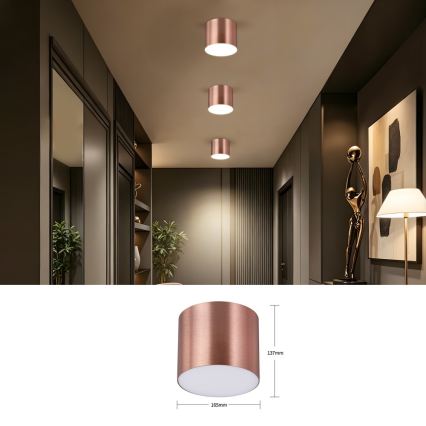 Immax NEO 07320L - LED Stmívatelné stropní svítidlo RONDATE LED/32W/230V pr. 16,5 cm Wi-Fi Tuya rose gold