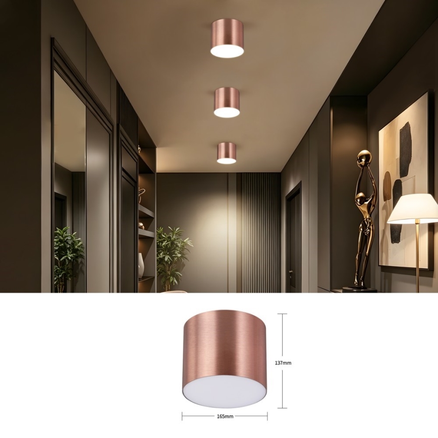 Immax NEO 07320L - LED Stmívatelné stropní svítidlo RONDATE LED/32W/230V pr. 16,5 cm Wi-Fi Tuya rose gold