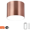 Immax NEO 07320L - LED Stmívatelné stropní svítidlo RONDATE LED/32W/230V pr. 16,5 cm Wi-Fi Tuya rose gold