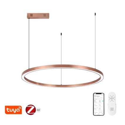 Immax NEO 07327L - LED Stmívatelný lustr na lanku FINO LED/55W/230V 80 cm rose gold Tuya + dálkové ovládání