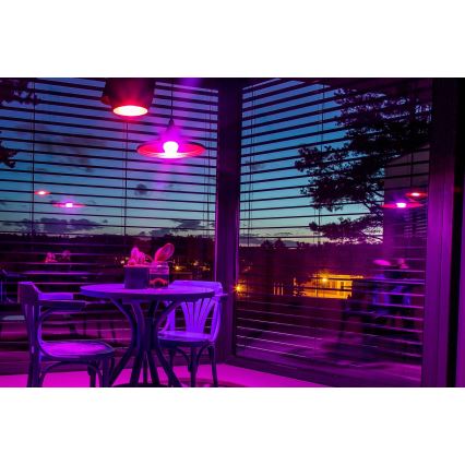 Immax NEO 07794CDO - SADA 3x LED RGB+CCT Stmívatelná žárovka E27/14W/230V 2700K-6500K Tuya Wi-Fi + dálkové ovládání