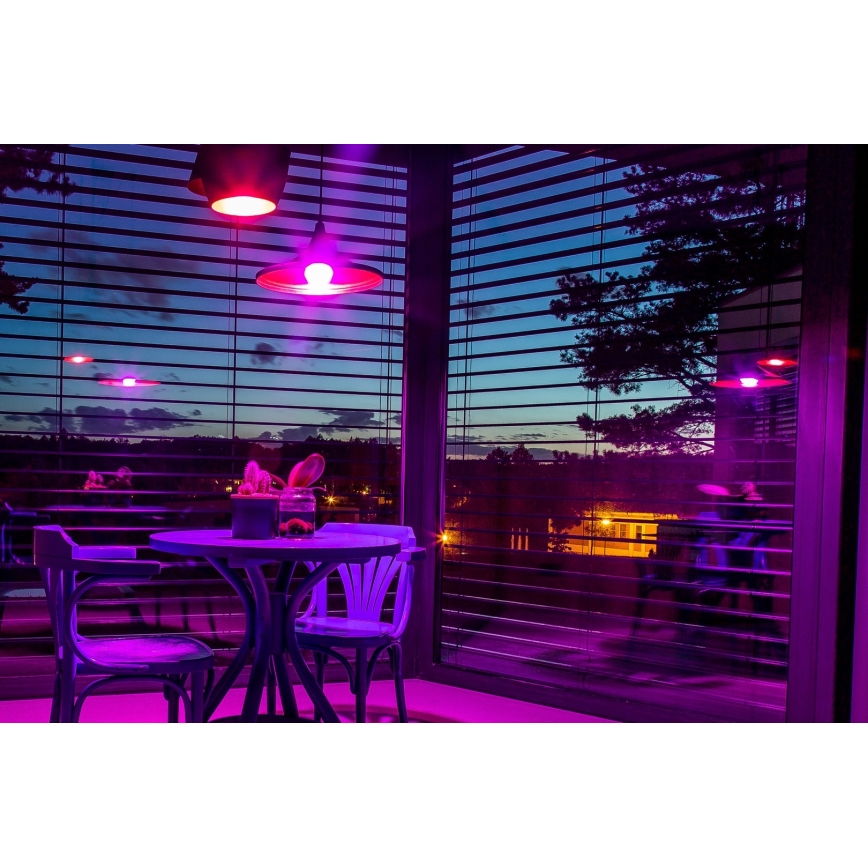 Immax NEO 07794CDO - SADA 3x LED RGB+CCT Stmívatelná žárovka E27/14W/230V 2700K-6500K Tuya Wi-Fi + dálkové ovládání