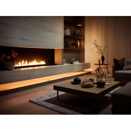 InFire - Vestavěný BIO krb 7,5x120 cm 7kW černá