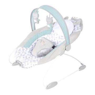 Ingenuity - Dětské vibrující houpátko s melodií RAYLAN 3xLR14
