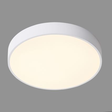 ITALUX - LED Stropní svítidlo ORBITAL LED/30W/230V 3000K bílá