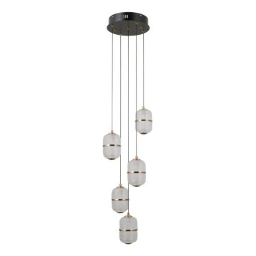 ITALUX - LED Lustr na lanku ALANI 5xLED/5,6W/230V 3000K černá/zlatá