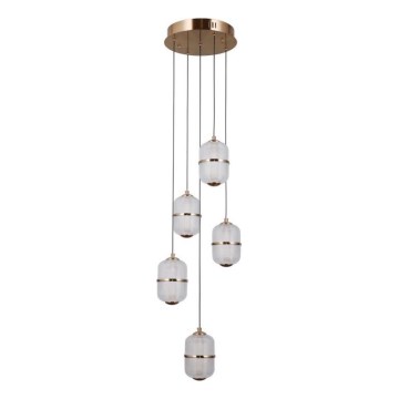 ITALUX - LED Lustr na lanku ALANI 5xLED/5,6W/230V 3000K zlatá