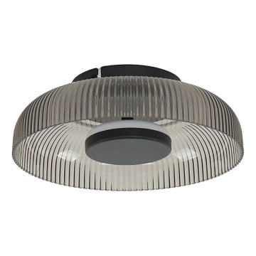 ITALUX - LED Stropní svítidlo PASSO LED/8W/230V 3000K pr. 25 cm kouřová černá