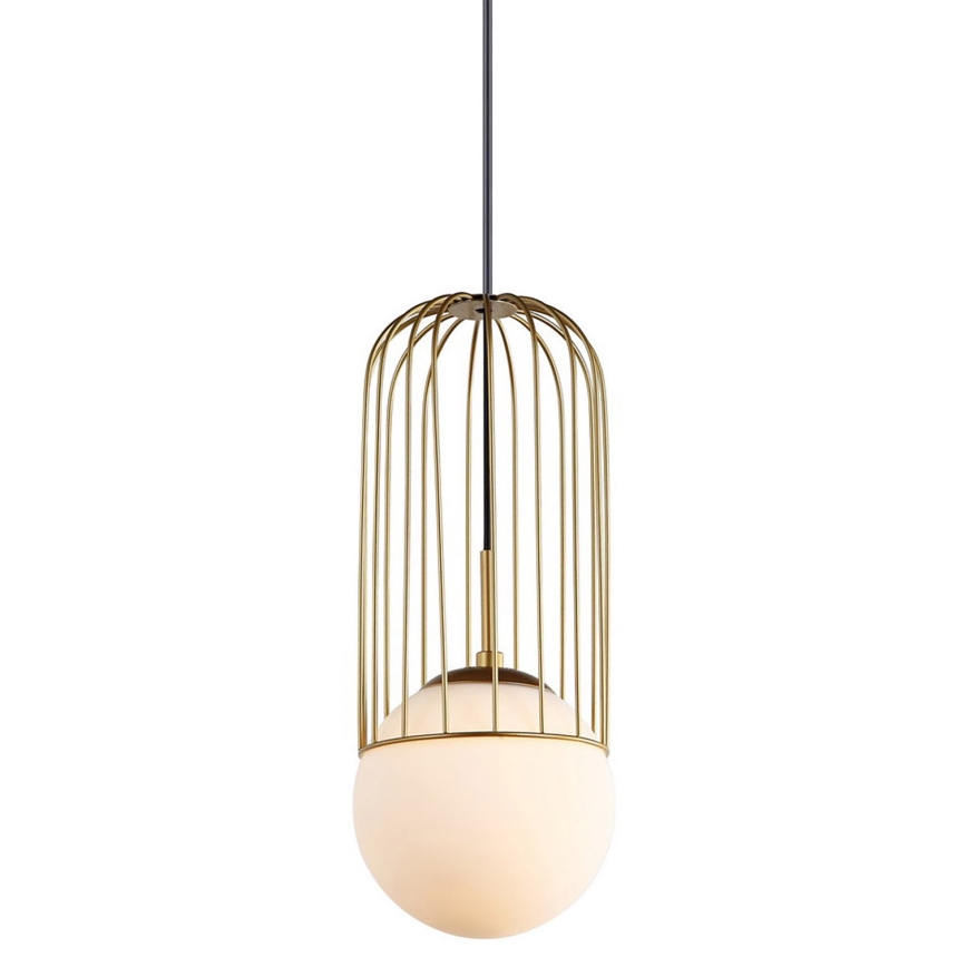 ITALUX - Lustr na lanku MATTY 1xE27/40W/230V pr. 15 cm zlatá