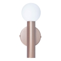 ITALUX - Nástěnná lampa FILANO 1xG9/5W/230V rose gold