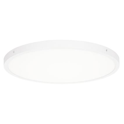 ITALUX - LED Stropní svítidlo PELARO LED/36W/230V 3000K pr. 50 cm bílá
