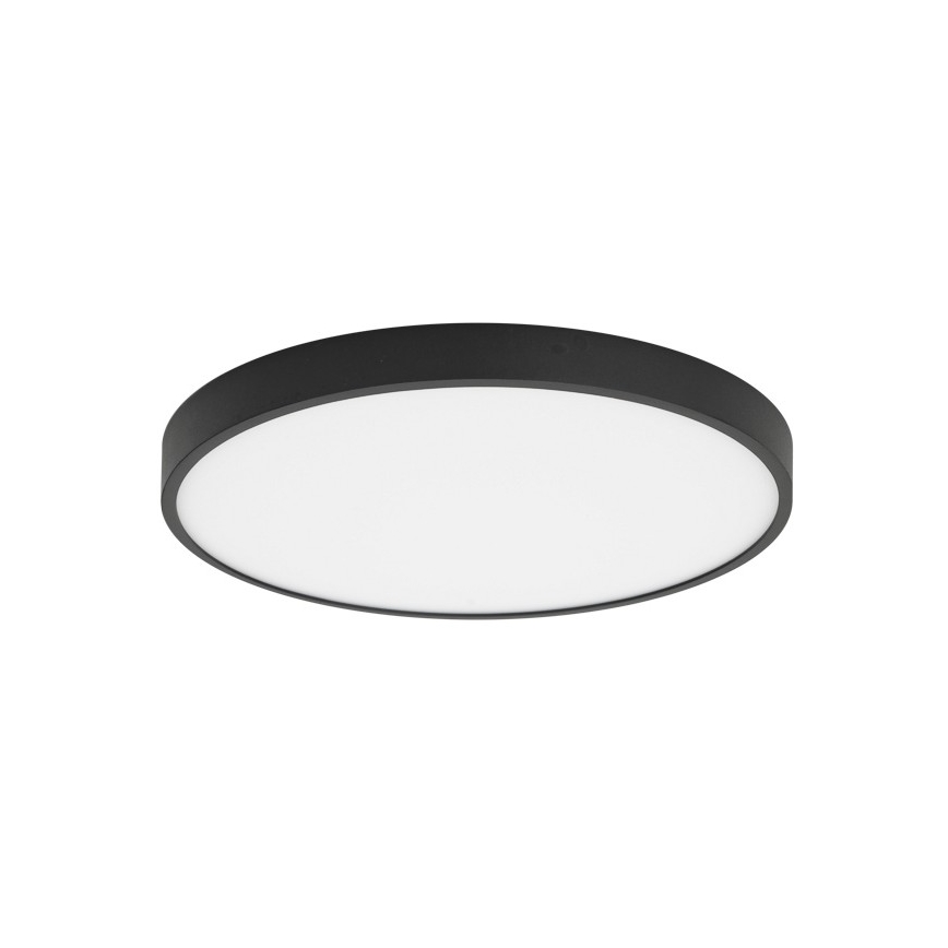 ITALUX - LED Stropní svítidlo RIBERIO LED/30W/230V 4000K černá
