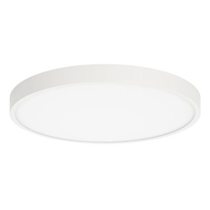 ITALUX - LED Stropní svítidlo RIBERIO LED/30W/230V 3000K bílá