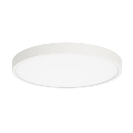 ITALUX - LED Stropní svítidlo RIBERIO LED/30W/230V 4000K bílá