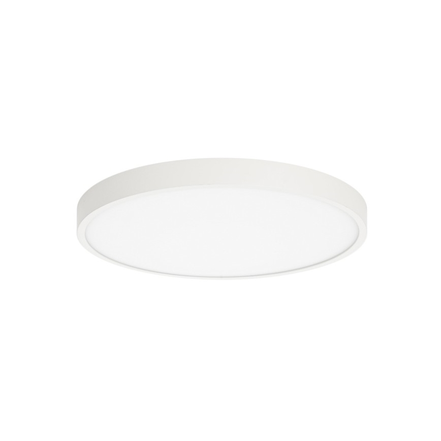 ITALUX - LED Stropní svítidlo RIBERIO LED/30W/230V 4000K bílá