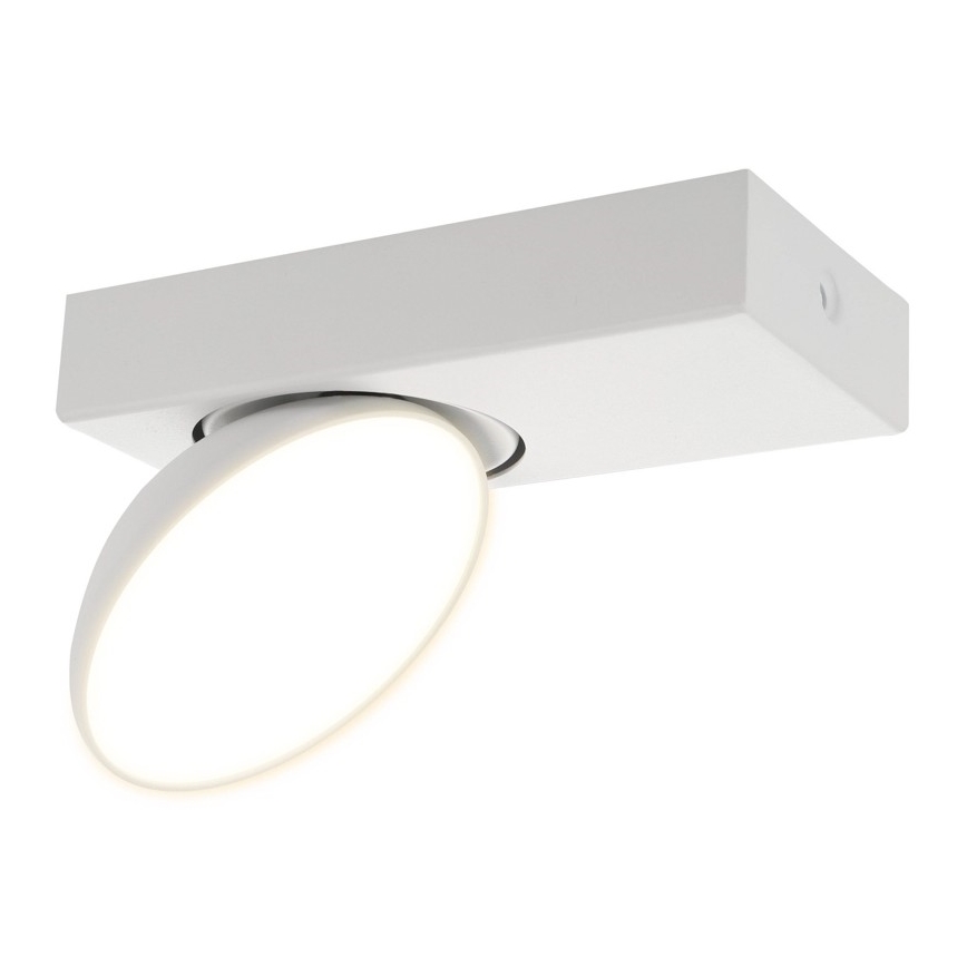 ITALUX - LED Bodové svítidlo CASTELIO LED/5W/230V 4000K bílá