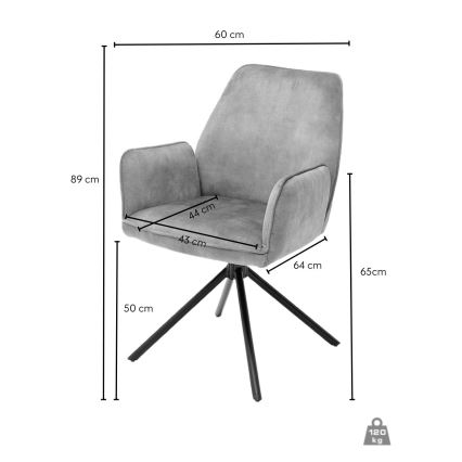 Jídelní židle NEXORO 1 ks šedá