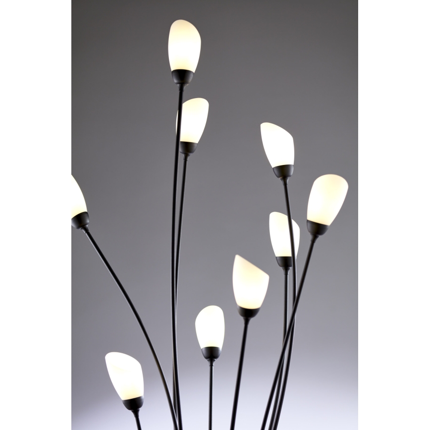 Jupiter 2058 - Stojací lampa GLORIOSA 9xG9/14W/230V černá